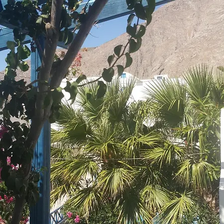 Darzenta Athina